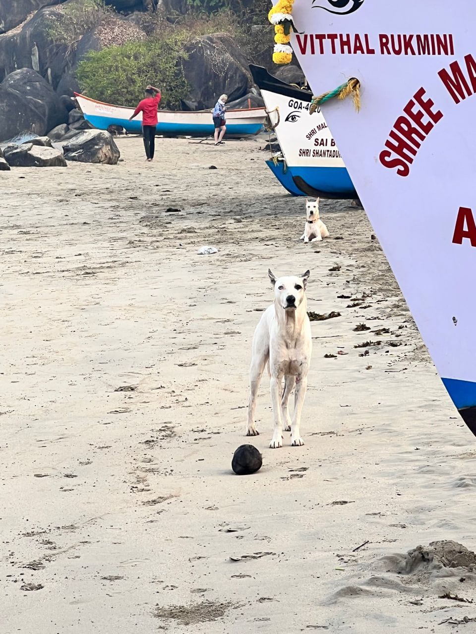 uz Гоа 05 2025 (33).jpg