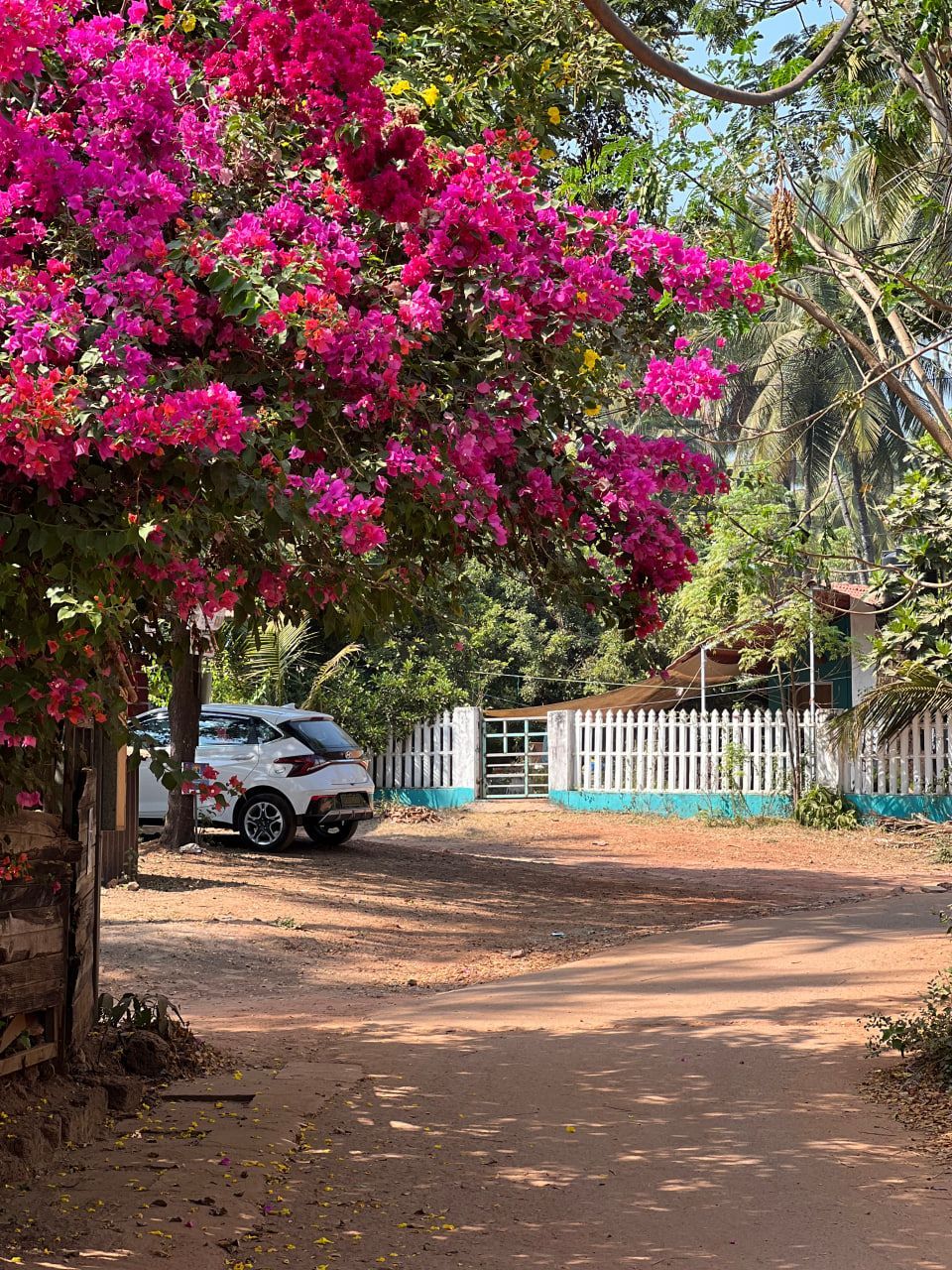 uz Гоа 05 2025 (3).jpg