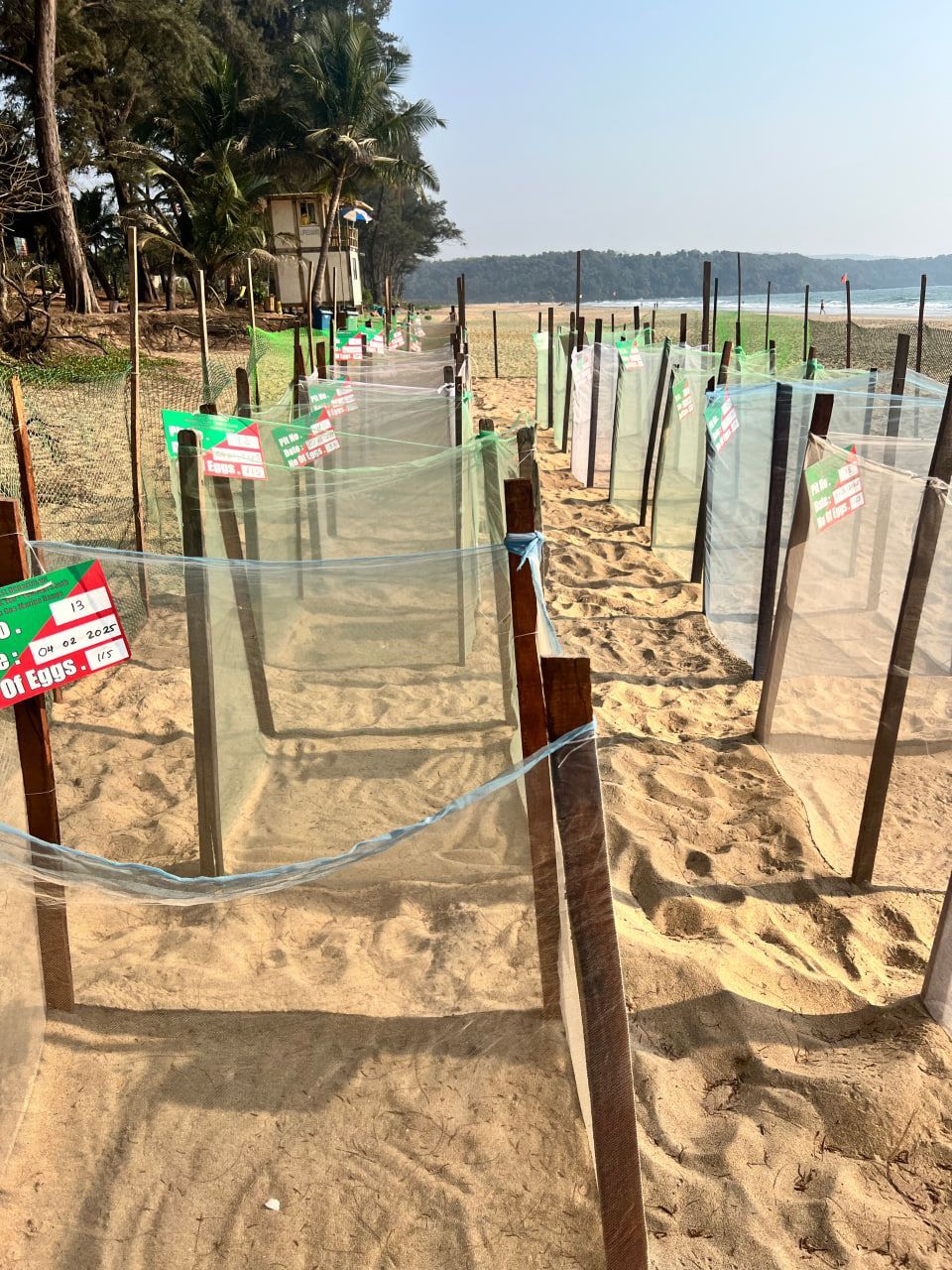 uz Гоа 05 2025 (7).jpg