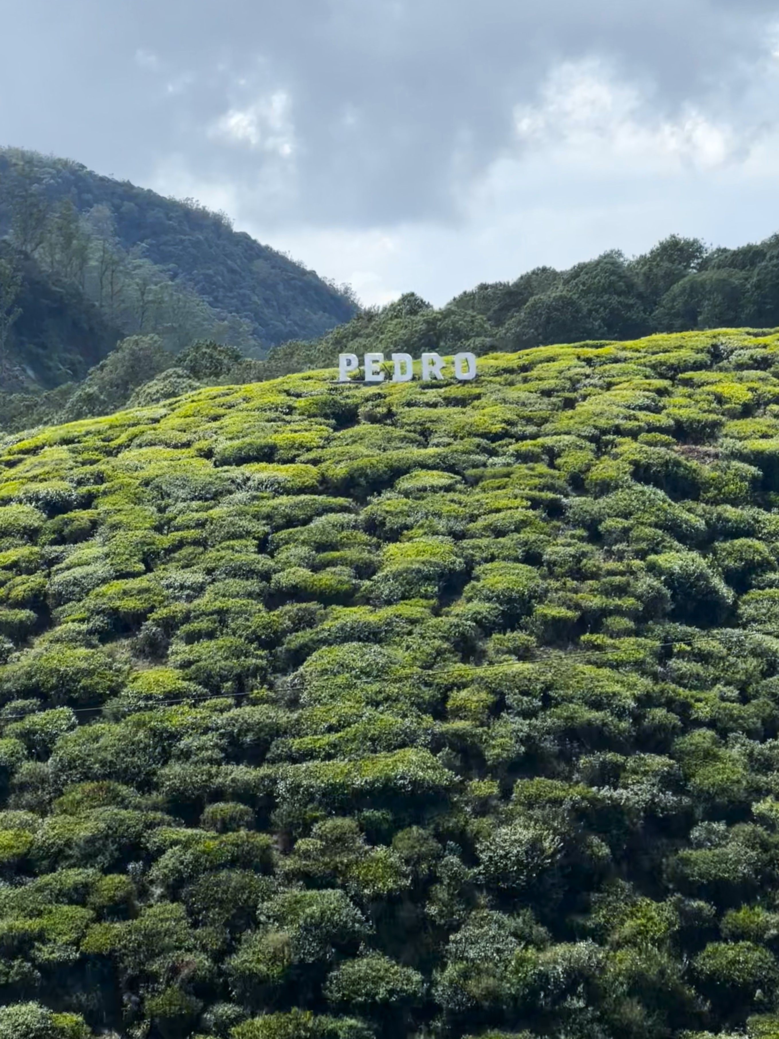 uz шри ланка 05 2025 (12).jpg