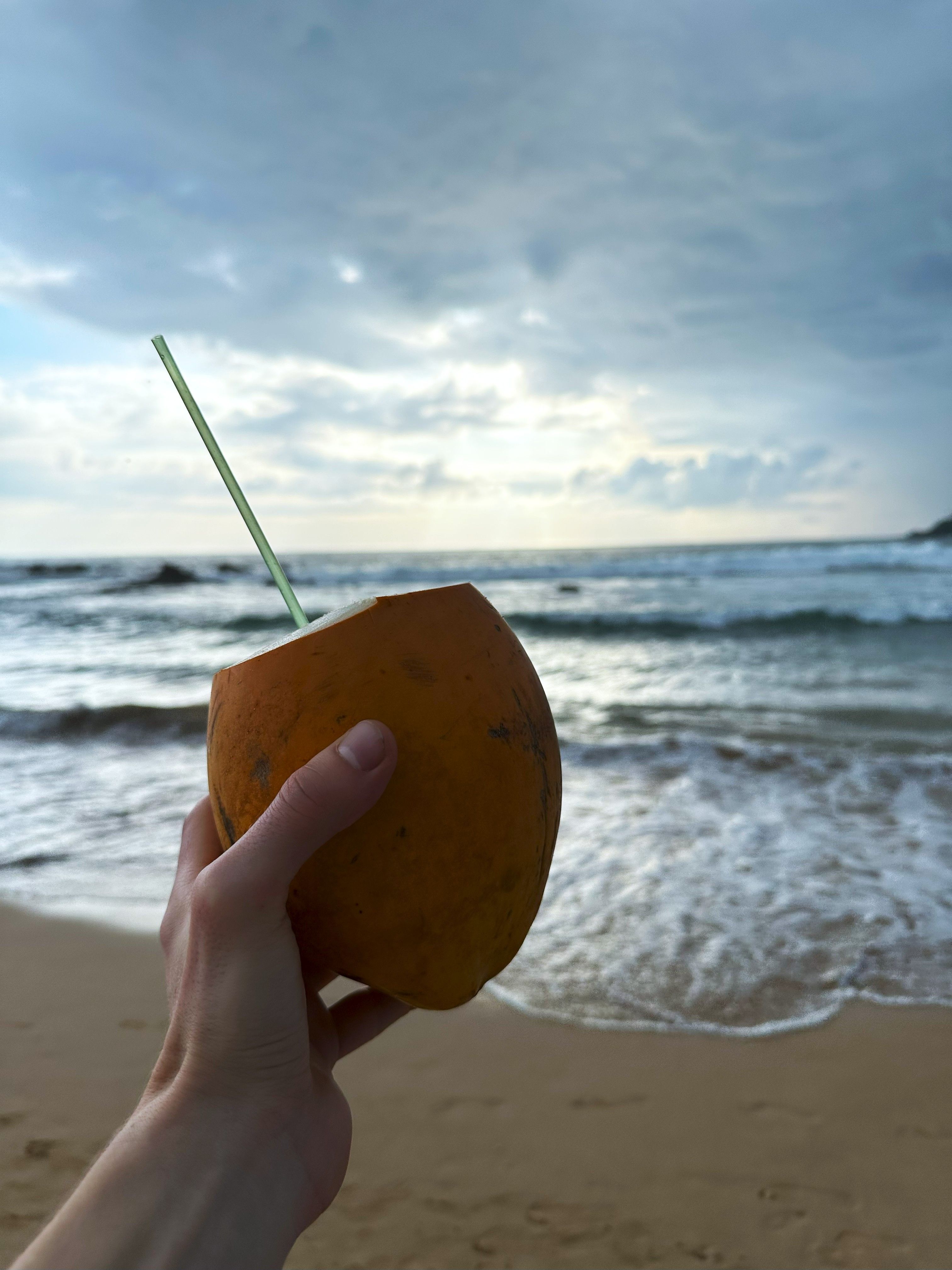 uz шри ланка 05 2025 (2).jpg