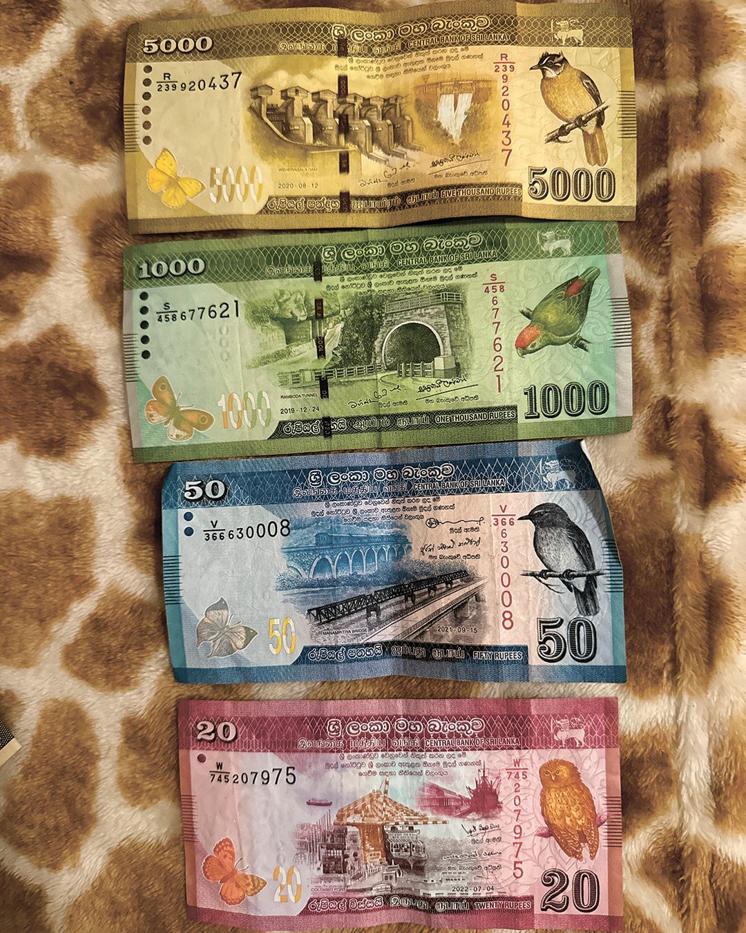 uz шри ланка 05 2025 (3).jpg