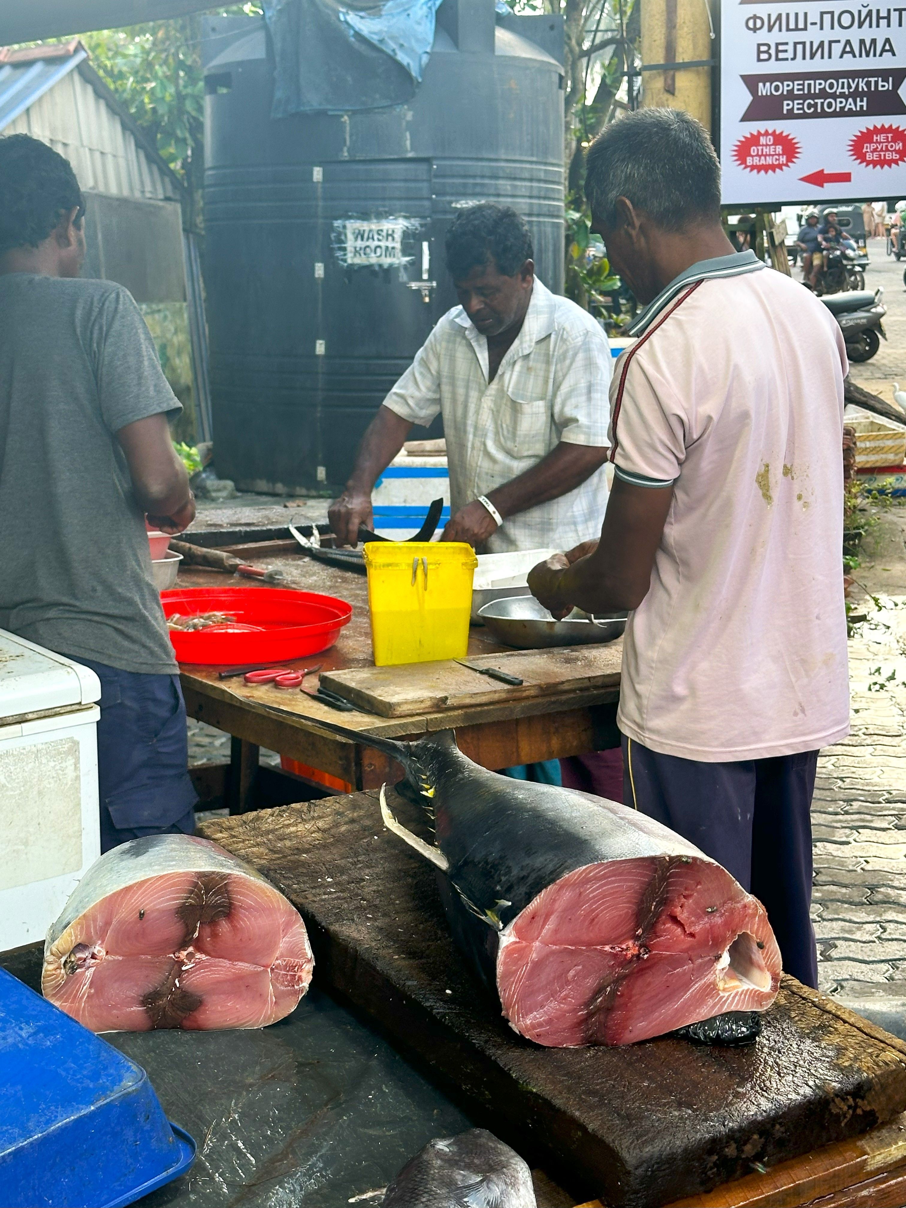 uz шри ланка 05 2025 (7).jpg