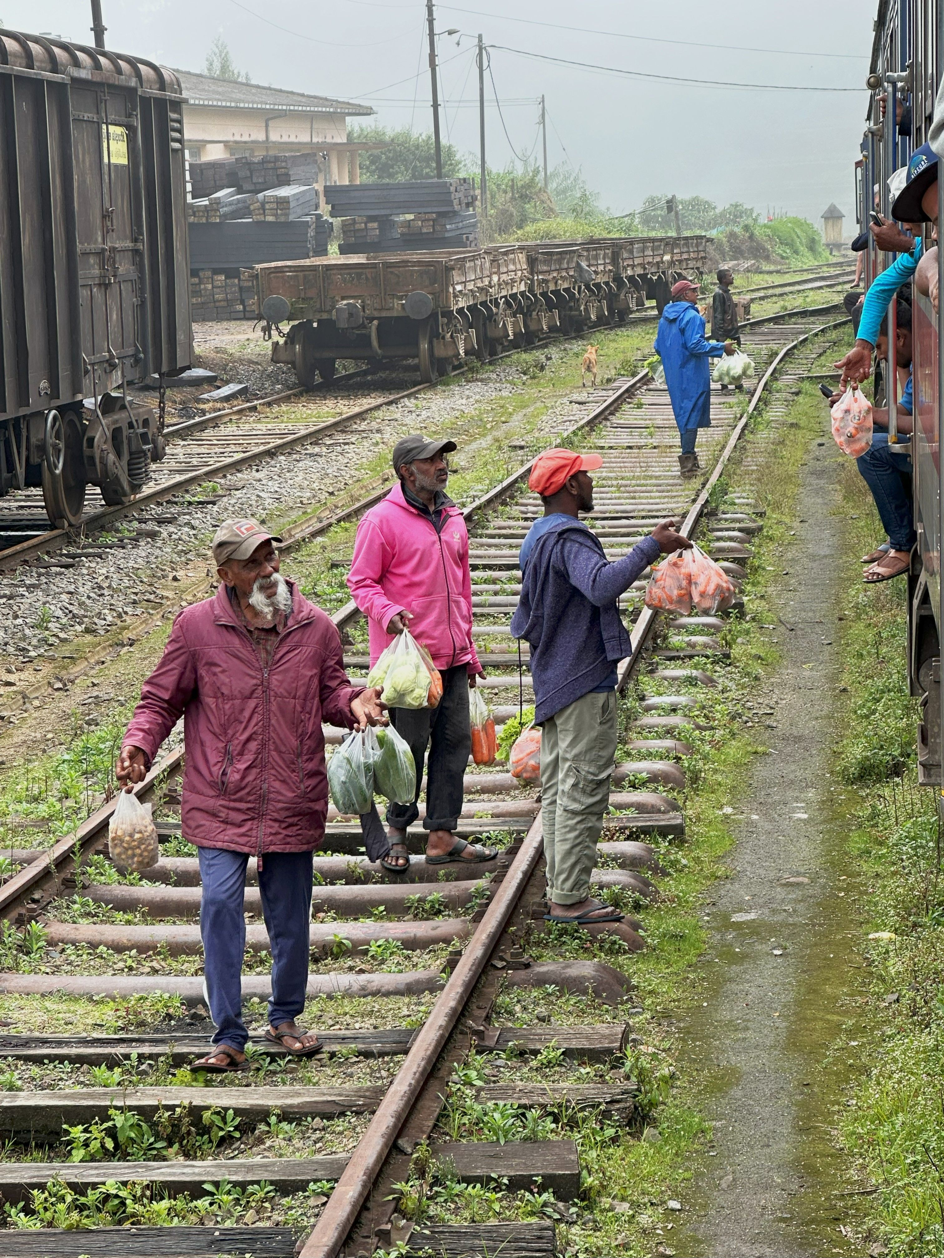 uz шри ланка 05 2025 (8).jpg