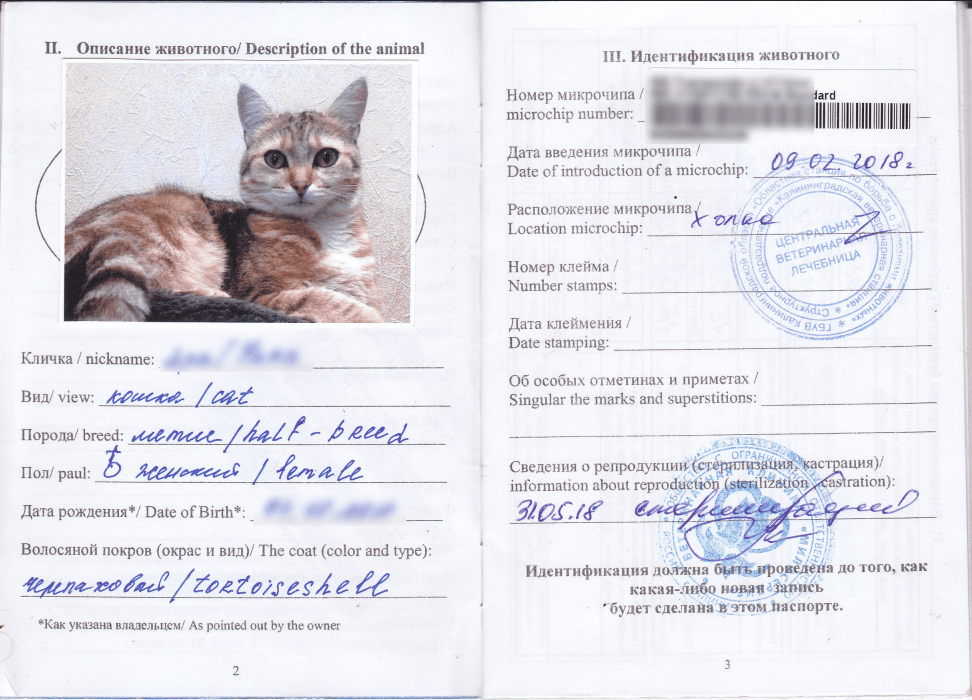 ветпаспорт