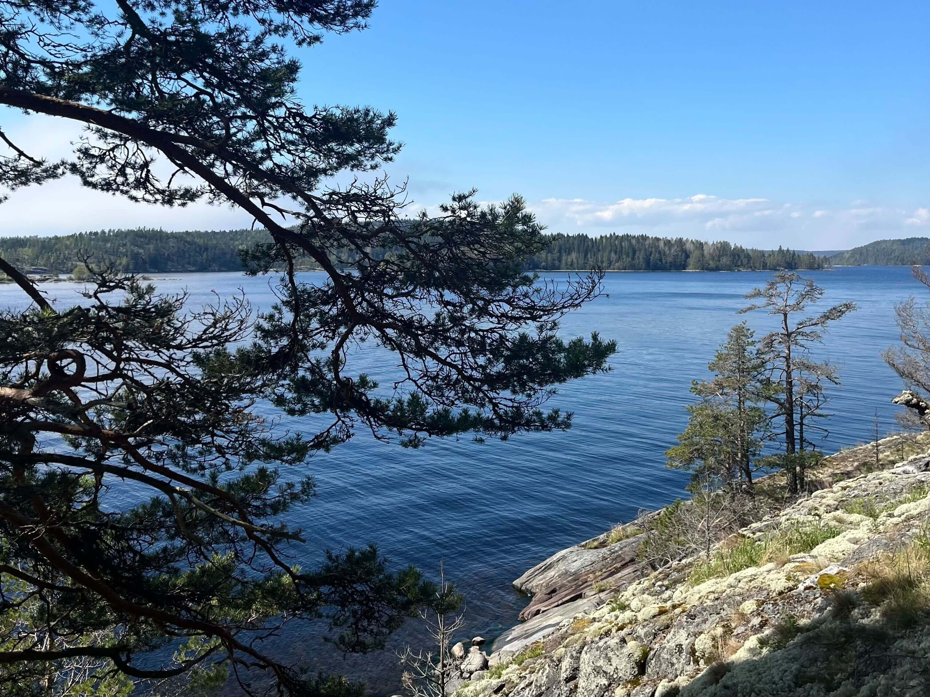 Вид на Ладогу