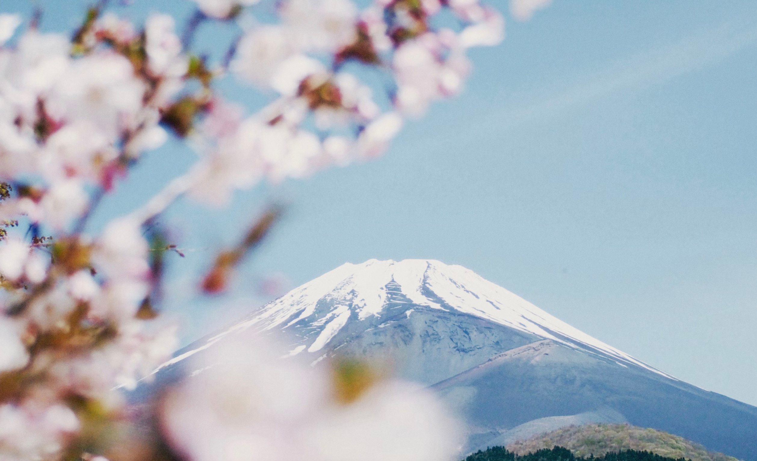 Қазақстандықтар Жапонияға визаны қалай алады? Негізгі сұрақтарға нақты жауаптар